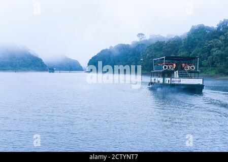 Safari in barca nel lago nebbioso o fiume nebbia in una mattina invernale nella foresta o nella giungla selvaggia. Foto scattata dalla barca. Fauna selvatica indiana. Parco nazionale Foto Stock