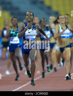 (200926) -- DOHA, 26 settembre 2020 (Xinhua) -- Faith Kipyegon del Kenya compete durante la finale femminile di 800 m al Diamond League Athletics Meeting 2020 a Doha, Qatar, 25 settembre 2020. (Foto di Nikku/Xinhua) Foto Stock