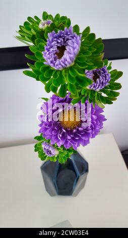Bellissimi fiori lilla in un vaso di classe su un bianco tabella Foto Stock