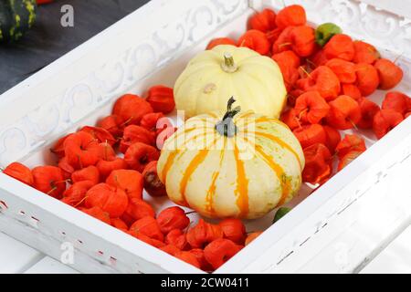 Decorazione autunnale con zucche e fiori di lanterna Foto Stock