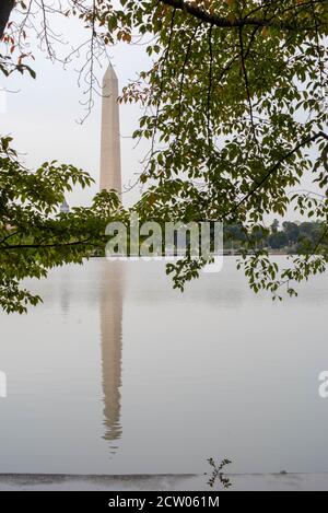 Washington Monument riflesso in acqua in grigio giorno dietro verde foglie Foto Stock