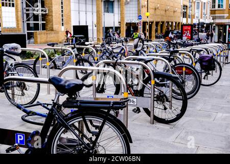 Linee di biciclette parcheggiate rispettose dell'ambiente, senza persone Foto Stock