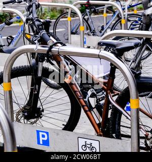 Linee di biciclette parcheggiate rispettose dell'ambiente, senza persone Foto Stock