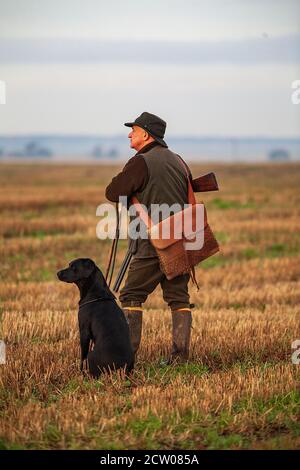 In attesa degli uccelli su un fagiano guidato sparare in Lancashire, Inghilterra. Foto Stock