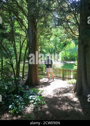 Lavori di manutenzione al Peckham Rye Park Foto Stock