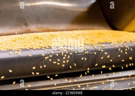 Produzione di pasta trasportatore automatico, essiccazione e insaccatura in vendita Foto Stock