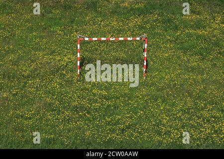 Campo, prato, denti di dente di leone, tempo di quarantena, abbandonato obiettivo di calcio, Karlsbad, Karlovy Vary, Repubblica Ceca, Europa Foto Stock