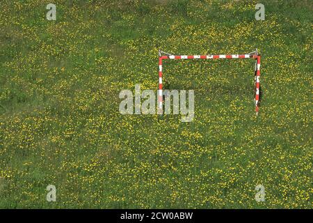 Campo, prato, denti di dente di leone, tempo di quarantena, abbandonato obiettivo di calcio, Karlsbad, Karlovy Vary, Repubblica Ceca, Europa Foto Stock