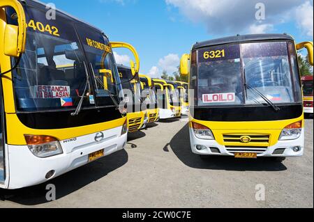 Molti autobus di colore giallo della compagnia di linea Ceres in linea al Terminal degli autobus Taggak a Iloilo City, Panay, Visayas, Filippine Foto Stock