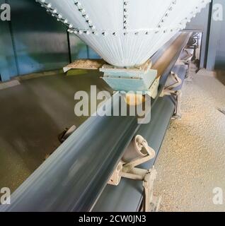 sistema di trasporto elevatore silo per granella, nastro trasportatore di silo. Foto Stock