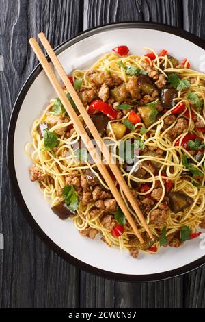 Melanzane cinesi con maiale tritato servite con tagliatelle d'uovo da vicino in un piatto sul tavolo. Vista dall'alto verticale Foto Stock