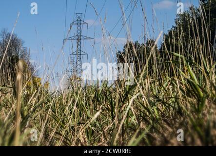 Linee aeree ad alta tensione che passano attraverso terreni agricoli. Foto Stock