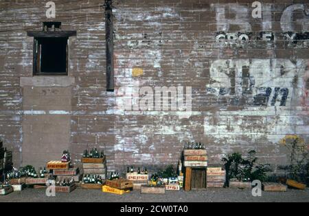 Storico 1970 Foto: Parete generale del negozio a Browning il ca. Giugno 1973 Foto Stock