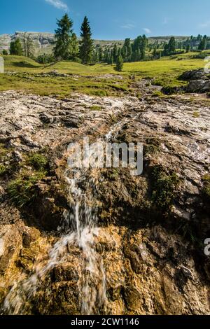 Vista panoramica sulle montagne delle Alpi con alberi di abete rosso, prati verdi e ruscello d'acqua. Foto Stock