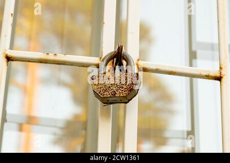 la serratura pende su un traliccio metallico sulla finestra. Protezione ladro Foto Stock