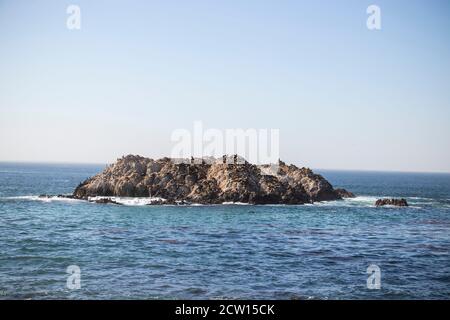 Un uccello rock con foche, pellicani e gabbiani sulla costa occidentale degli Stati Uniti. Grande onda ruvida che si infrangono su Bird Rock in una storica 17-Mile Drive a Mon Foto Stock