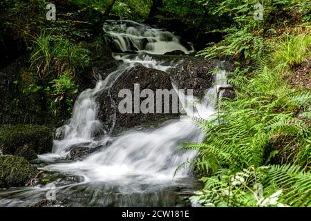 Una cascata sul Wynlass Beck mentre si porta a Windermere via Miller Ground, nel Lake District National Park. Foto Stock