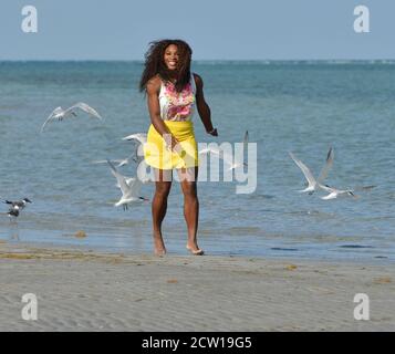 KEY BISCAYNE, FL - 30 MARZO: Serena Williams degli Stati Uniti si pone alla spiaggia di Crandon Park dopo aver sconfitto Maria Sharapova della Russia dopo la partita finale femminile del Sony Open il giorno 13 al Crandon Park Tennis Center il 30 marzo 2013 a Key Biscayne, Florida persone: Serena Williams Credit: Storms Media Group/Alamy Live News Foto Stock