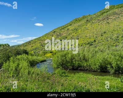 Piccolo ruscello di montagna, Park City Utah USA Foto Stock