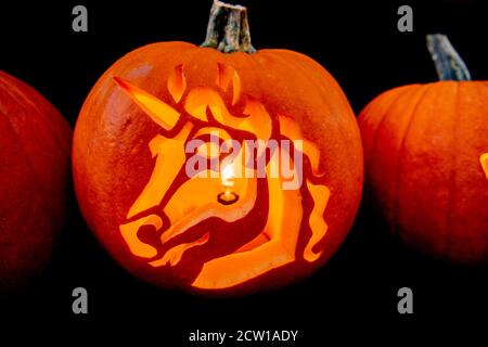 Una conchiglia di zucca è considerata un possessore di candele.il Campionato Olandese Growing Pumpkin 2020 presso i Giardini Botanici del Parco Scientifico di Utrecht si svolgerà il 26 settembre. Foto Stock