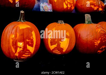 Una conchiglia di zucca è considerata un possessore di candele.il Campionato Olandese Growing Pumpkin 2020 presso i Giardini Botanici del Parco Scientifico di Utrecht si svolgerà il 26 settembre. Foto Stock