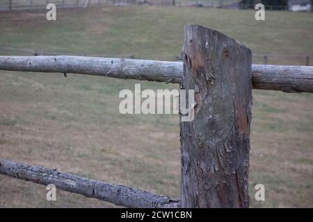 recinzione di legno come una demarcazione ad altri terreni e proprietà Foto Stock recinzione di legno come una demarcazione ad altri terreni e proprietà Foto Stock