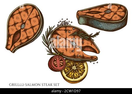 Set vettoriale di bistecca di salmone alla griglia dipinta a mano Illustrazione Vettoriale