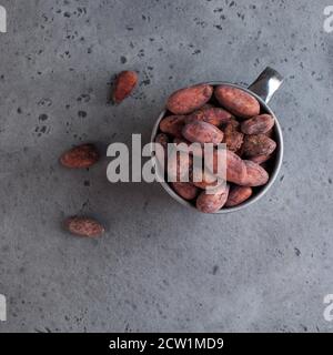 Fagioli di cacao in una tazza di metallo su sfondo grigio. Cibo crudo, spazio di copia. Foto Stock