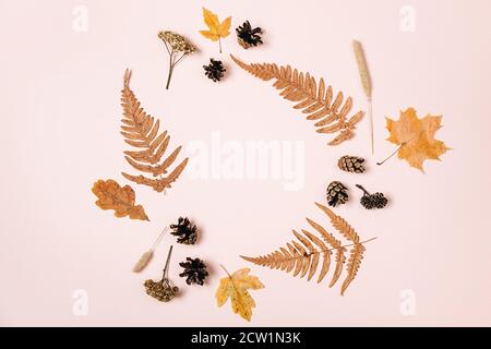 Autunno, giorno di ringraziamento e concetto invernale. Foglie d'acero essiccate, coni di felce e pino su sfondo di studio rosa pastello con spazio di copia per l'advertisen Foto Stock