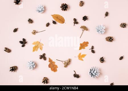 Autunno, giorno di ringraziamento e concetto invernale. Modello fatto di foglie varie secche, piccoli coni di pino bianco su sfondo rosa studio con spazio copia fo Foto Stock