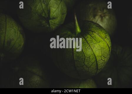 Macro primo piano ritratto di tomatillo, pomodoro di buccia messicano, fuoco selettivo Foto Stock