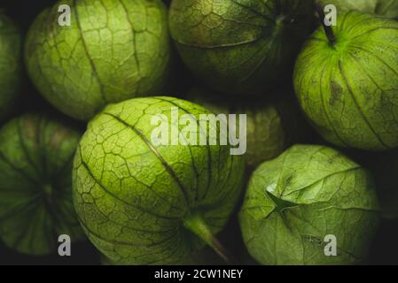 Macro primo piano ritratto di tomatillo, pomodoro di buccia messicano, fuoco selettivo Foto Stock