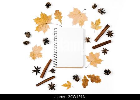 Composizione autunnale. Modello fatto di cannella, coriandolo, foglie di acero essiccato e taccuino su sfondo bianco per la pubblicità. Autunno, caduta, thanksgi Foto Stock