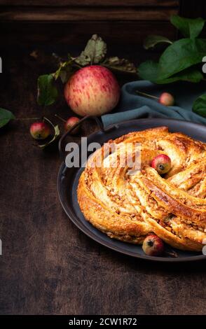 Torta fresca fatta in casa con mela e cannella ripieno in vassoio vintage su sfondo rustico compensato. Foto Stock