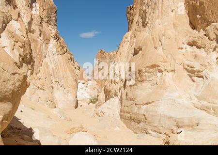 Canyon bianco con rocce gialle, giorno di sole. Egitto, deserto, la penisola del Sinai, Nuweiba, Dahab. Foto Stock