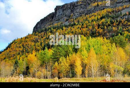 Mt. McKay accanto a Thunder Bay, Ontario, Canada ha una parete rocciosa precambrian con alberi di betulla dorati e sempreverdi che crescono su di esso. Foto Stock