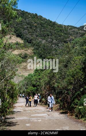 Un gruppo di turisti che salendo sul ripido sentiero che conduce a Pedra da Macela punti di osservazione all'interno del parco nazionale Serra da Bocaina. Foto Stock