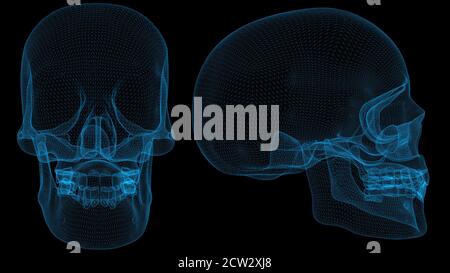 Struttura a reticolo 3d del cranio con linee blu sottili. Ologramma futuristico anatomico su sfondo nero. illustrazione 3d Foto Stock