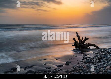 Vecchio driftwood in riva al mare all'alba Foto Stock