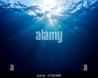 Scena subacquea con raggi di luce Foto Stock