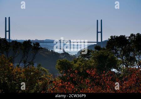 Vista del ponte sospeso Megami Ohashi al tramonto. Foto Stock