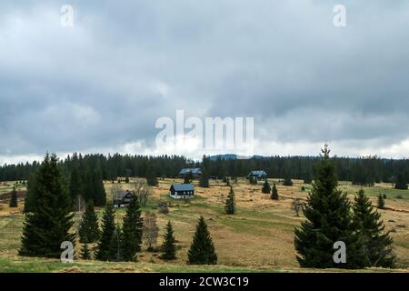 I cottage nei campi e prati di montagna presso la città ceca di Horská Kvilda nel parco nazionale di Šumava. Foto Stock