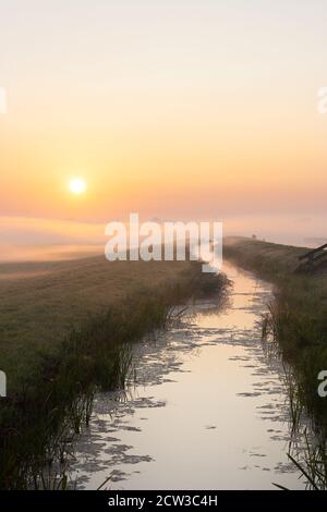 Il sole splende su uno strato ondulato di bassa menzogna nebbia nella campagna olandese subito dopo l'alba Foto Stock