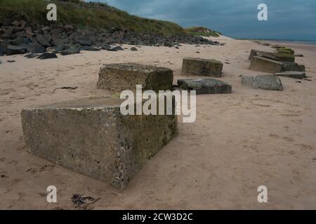 Anti Tank difenses, Druridge Bay, Northumberland Foto Stock