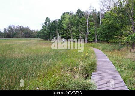 La foto dall'area protetta nazionale della Repubblica Ceca chiamata SOOS. L'ex zona di estrazione della torba. Foto Stock