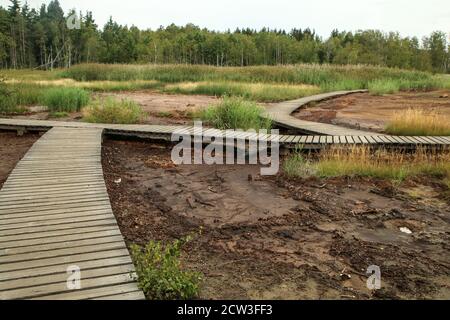La foto dall'area protetta nazionale della Repubblica Ceca chiamata SOOS. L'ex zona di estrazione della torba. Foto Stock