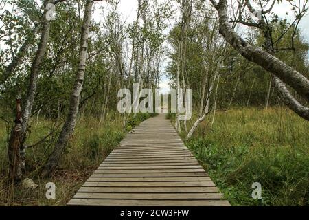 La foto dall'area protetta nazionale della Repubblica Ceca chiamata SOOS. L'ex zona di estrazione della torba. Foto Stock