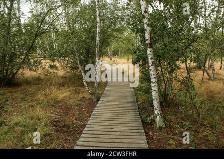 La foto dall'area protetta nazionale della Repubblica Ceca chiamata SOOS. L'ex zona di estrazione della torba. Foto Stock