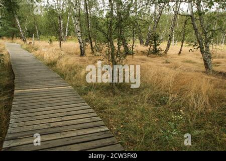 La foto dall'area protetta nazionale della Repubblica Ceca chiamata SOOS. L'ex zona di estrazione della torba. Foto Stock