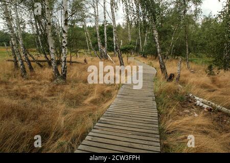La foto dall'area protetta nazionale della Repubblica Ceca chiamata SOOS. L'ex zona di estrazione della torba. Foto Stock
